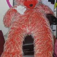 خرس|اسباب‌بازی بچه|مشهد, پورسینا|دیوار