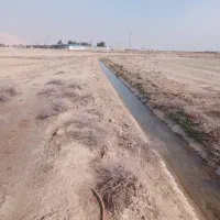 زمین کشاورزی|فروش دفتر صنعتی، کشاورزی، تجاری|جوادآباد, |دیوار