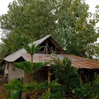 ۳۰۰ متر خونه ویلایی