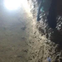 چاه کن خدمات قنات حفاری|خدمات پیشه و مهارت|قوچان, |دیوار