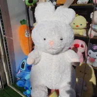 عروسک پولیشی اورجینال|اسباببازی|رشت, منظریه|دیوار