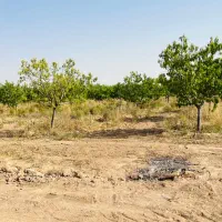 فروش زمین ویلایی ۶۵۱متر نقداقساطی بلندمدت بدون بهر|فروش زمین و ملک کلنگی|مشهد, عبادی|دیوار