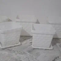 گلدان پلاستیکی گل طبیعی