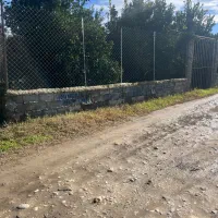 زمین باغی دارای سندتک برگ