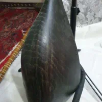 تنبور حرفه ای