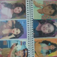 آلبوم عکس قدیمی خوانندگان هندی و ترکیه ای|کلکسیون اشیاء عتیقه|قرچک, محمد آباد|دیوار