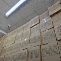 چیپس چی توز