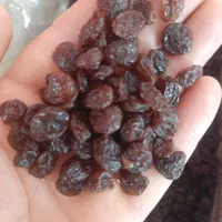 فروش انواع کشمش