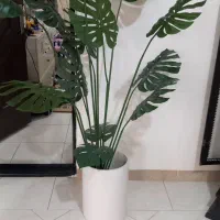 وسایل منزل|بوفه، ویترین، کنسول|ایوان, |دیوار