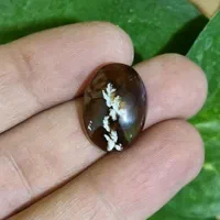 سنگ عقیق.. شجر ..و فیروزه اصل|جواهرات|نجفآباد, ریاضی|دیوار