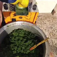 سبزی تازه|خوردنی و آشامیدنی|مسجد سلیمان, |دیوار