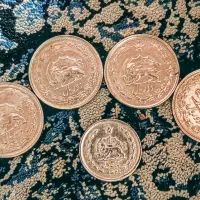 سکه های جمهوری و پهلوی|کلکسیون سکه، تمبر، اسکناس|لاهیجان, جمهوری|دیوار