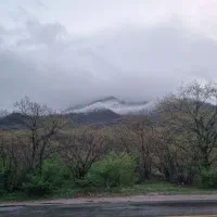 جویای کار