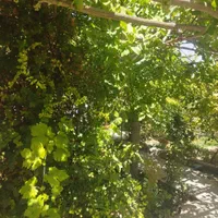 باغ حدود۳۰۰متردرمحمدابادبوستان زندگی|فروش خانه و ویلا|نجف‌آباد, دفاع مقدس|دیوار