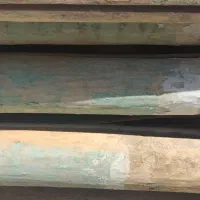 چنار خشک