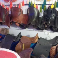 تجهیزات اسب|اسب و تجهیزات اسب‌سواری|صفادشت, |دیوار