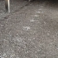 کود مرغی|خدمات باغبانی و درختکاری|سرپل ذهاب, |دیوار