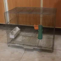 قفس روی میخ بزرگ و سالم