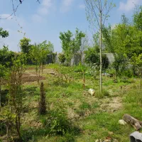 فروش فوری باغ ۲۴۳ متری دیوارکشی شده