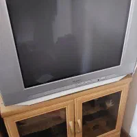 تلویزیون اسنوا