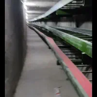 برق صنعتی|خدمات پیشه و مهارت|مهریز, |دیوار