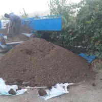 کود حیوانی پهن کوهنه