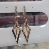 انواع و اقسام بدلیجات