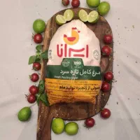 توزیع مرغ شمال زیر قیمت