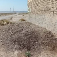فروش مستقیم کود خشک قفسی بلدرچین( تولید کننده)|خدمات باغبانی و درختکاری|قم, جمکران|دیوار