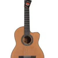 گیتار آریا ak30