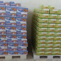 بیسکوییت بسته بندی کارخانه ای با سیب سلامت