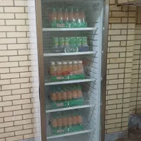 یخچال ۲ ماه کار رده Aمغازه ایستاده  ۶۰ سانت تک در