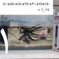 آکواریوم رو میزی