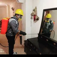 سمپاشی سوسک ساس موریانه تضمینی کل تهران فوری