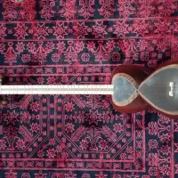 تار حرفه‌ای ثنا موفقی