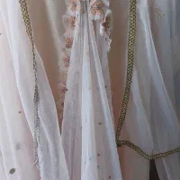 ساری|لباس|ساری, |دیوار