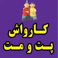 خدمات دیتیلینگ و واکس و پولیش در کارواش