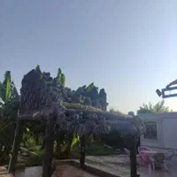 اجاره ویلا باغ|اجارهٔ کوتاهمدت ویلا و باغ|دزفول, |دیوار