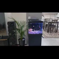 فروش آکواریوم تزئینی بدون ماهی باکلیه لوازم