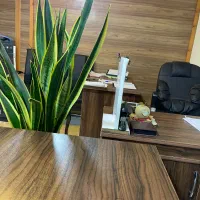 به یک منشی خانم نیازمندیم