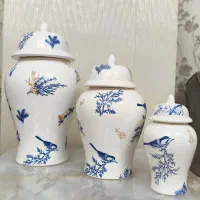 جینجر جار