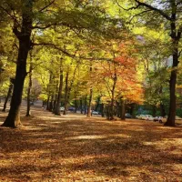 تور گردشگری ترکمن صحرا (جنگل گلستان)