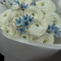 کیک‌صبحانه ساده