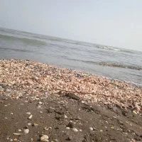 زمینی به متراژ187متر درممقان