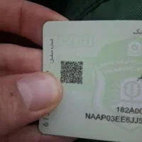 پیدا شده