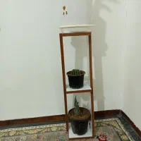 استند گل|گل و گیاه طبیعی|بیرجند, |دیوار