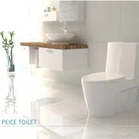 پخش چینی آلات گلسار