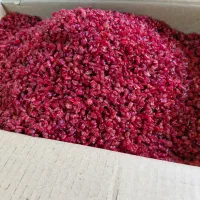 زرشک قاعنات تازه وخوشمزه