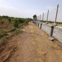 فروش باغ ۱۰۰۰ متری