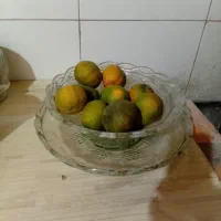 سلام میوه خوری|کلکسیون اشیاء عتیقه|خانمیرزا, |دیوار